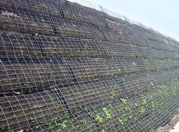 Geogrid Reinforcement