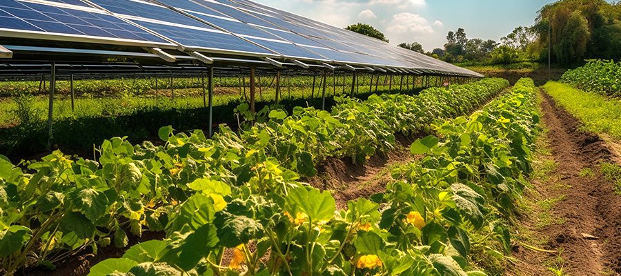 Solar-Farm-Scheme Solar-Farm-Scheme